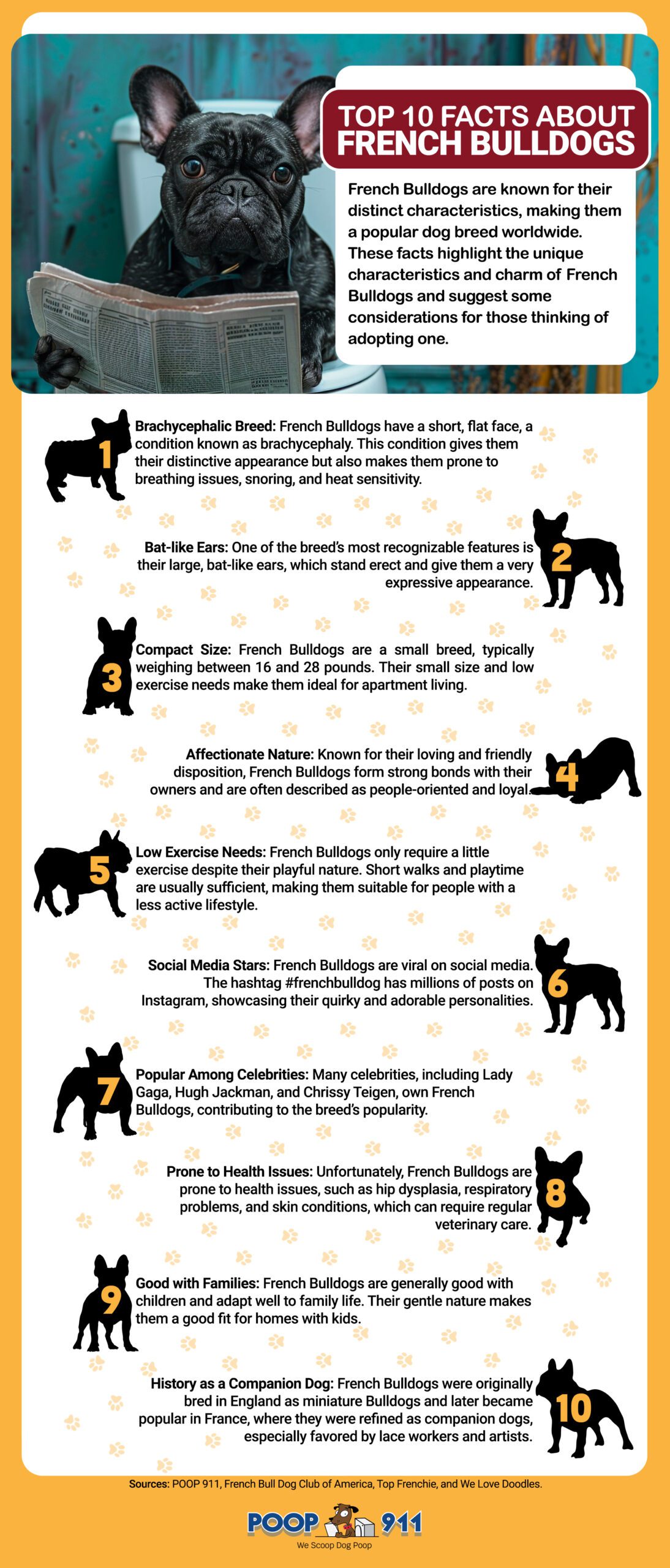 Top 10 Facts About French Bulldogs Infographic by POOP 911. French Bulldogs are known for their distinct characteristics, making them a popular dog breed worldwide.