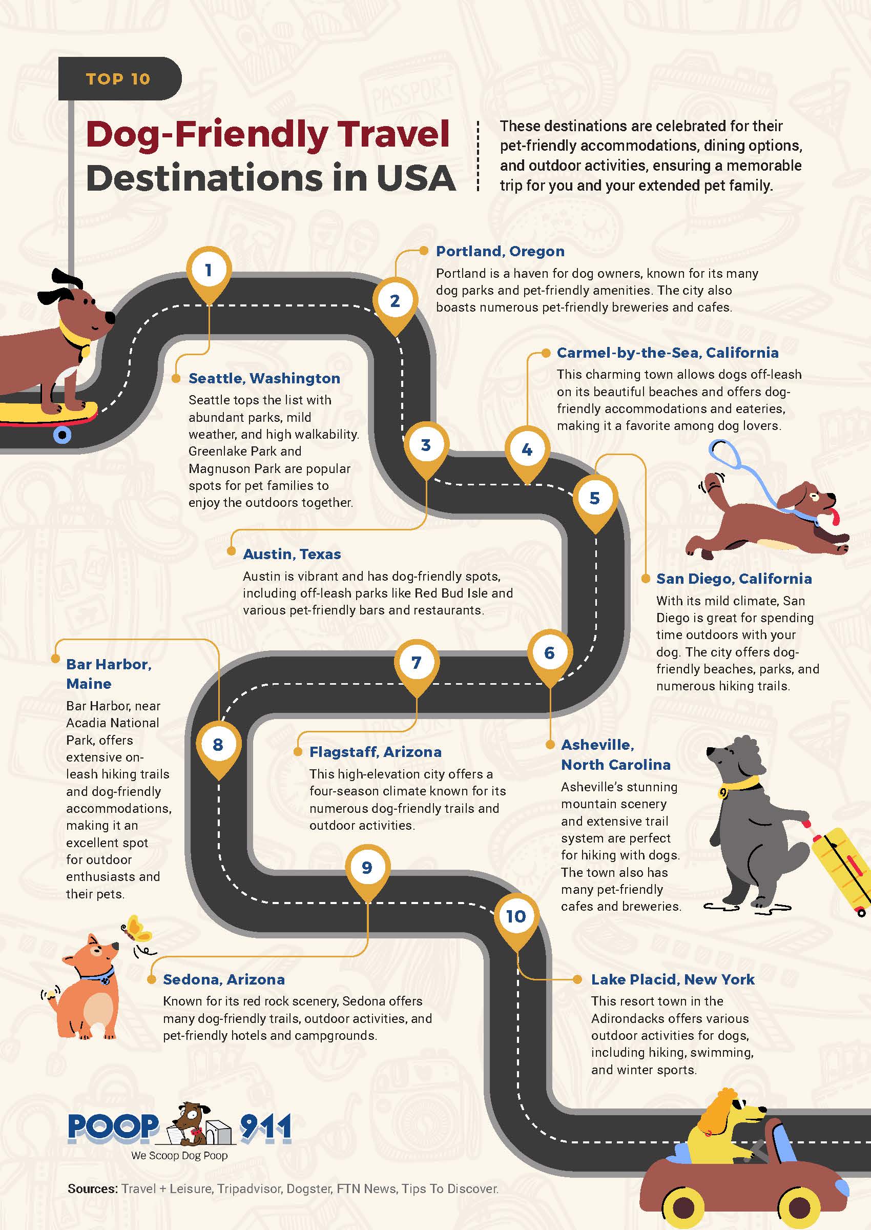 Top 10 Dog Friendly Travel Destinations Infographic. These destinations are celebrated for their pet-friendly accommodations, dining options, and outdoor activities.