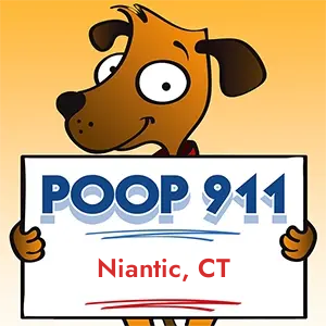 Niantic, CT Dog Poop Clean Up