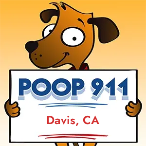 Davis, CA Dog Poop Clean Up
