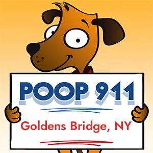 Goldens Bridge, NY Dog Poop Clean Up