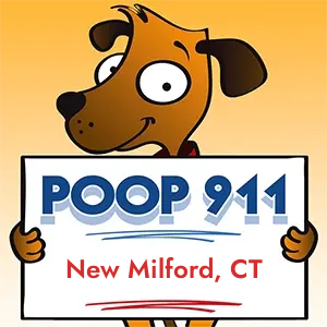 New Milford, CT Dog Poop Clean Up